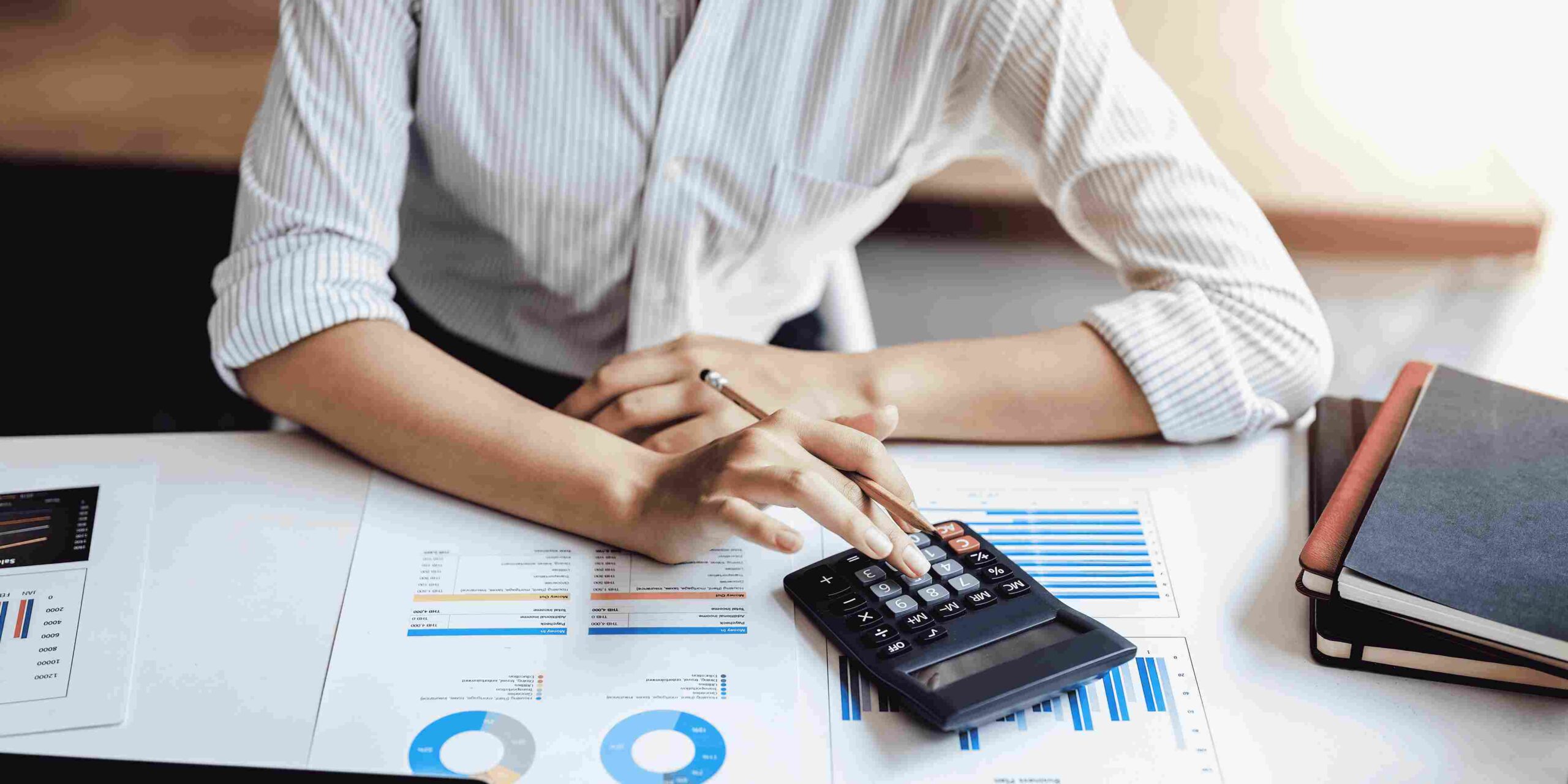 APPOINTING A STATUTORY AUDITOR IN A COMPANY