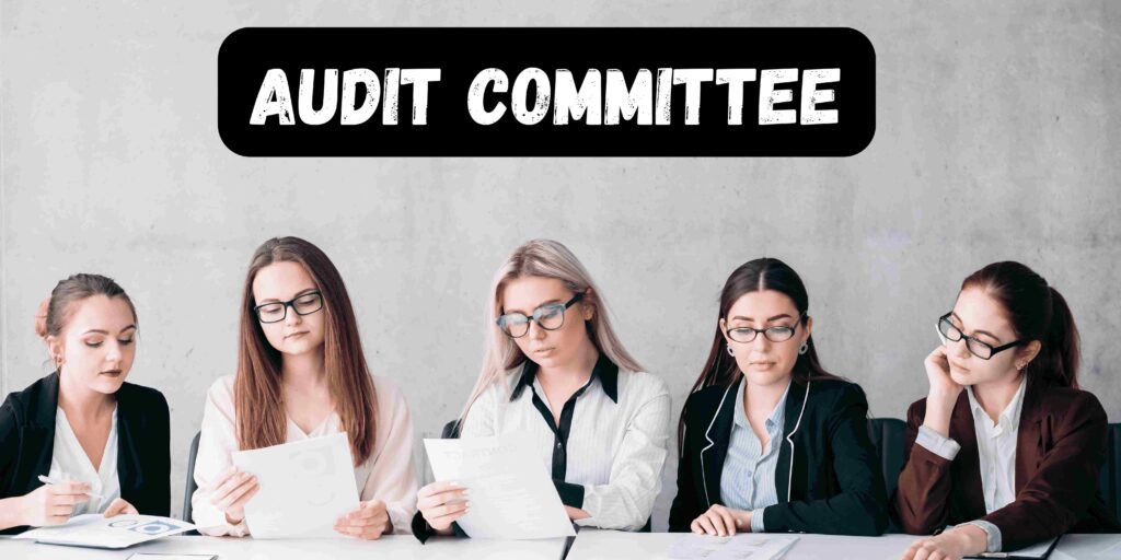 What is Audit Committee and its Functions? Taxtube