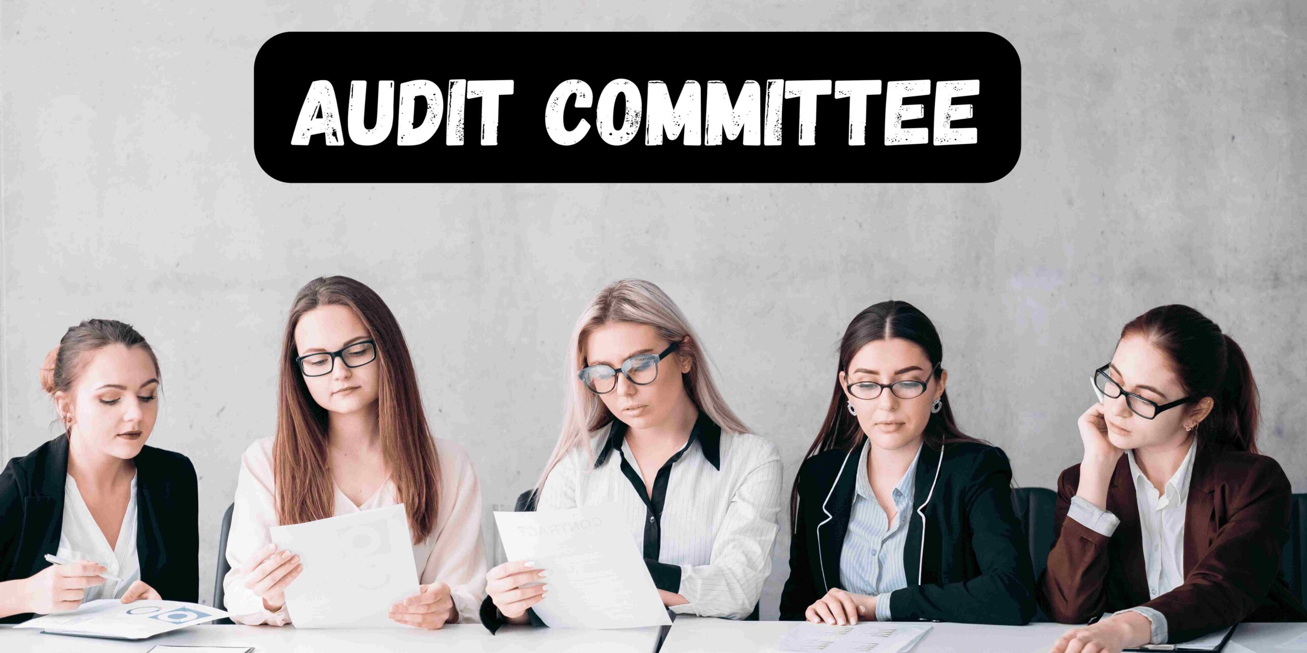 Audit Committee