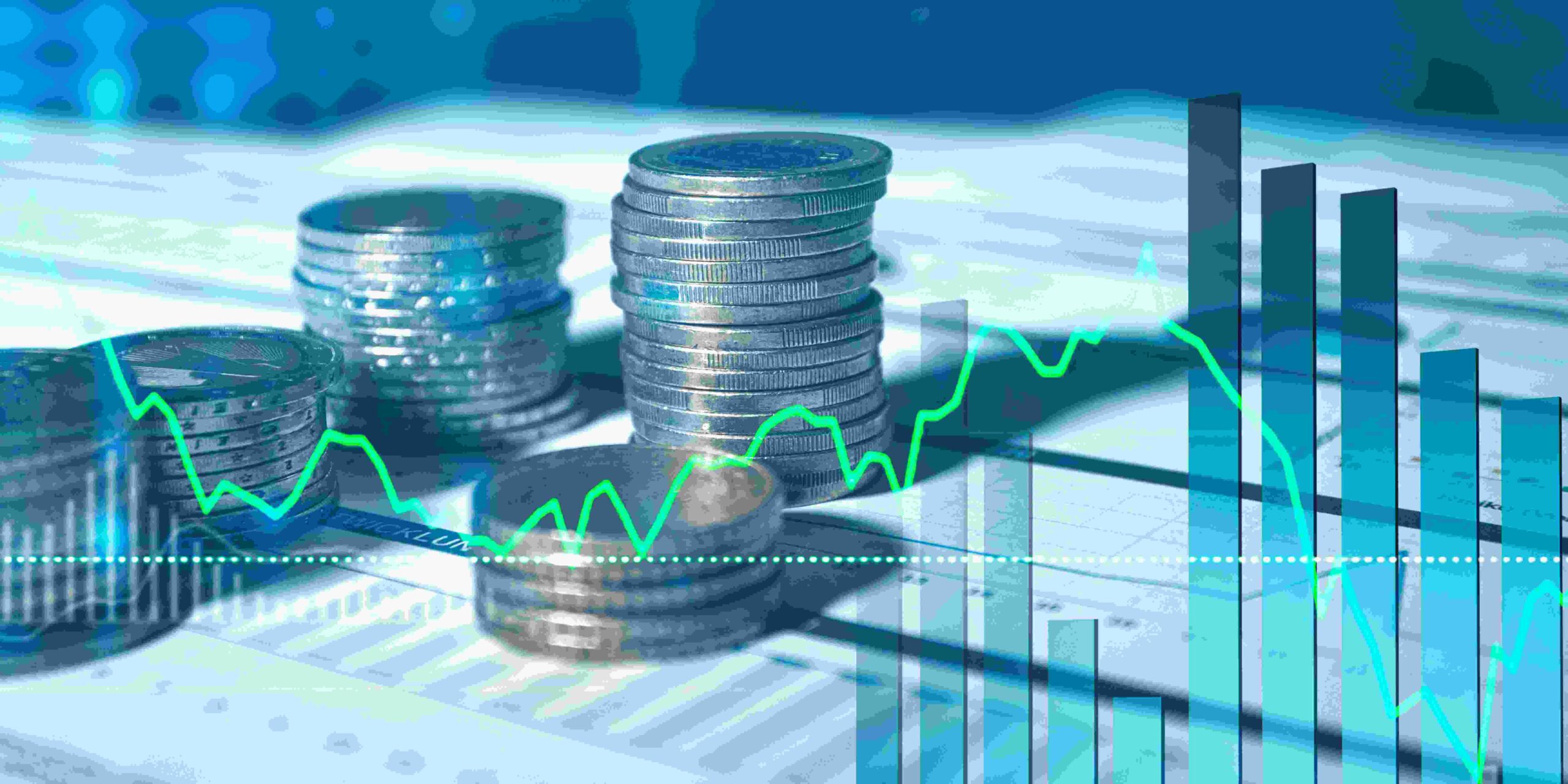 COMPANIES INVESTMENT