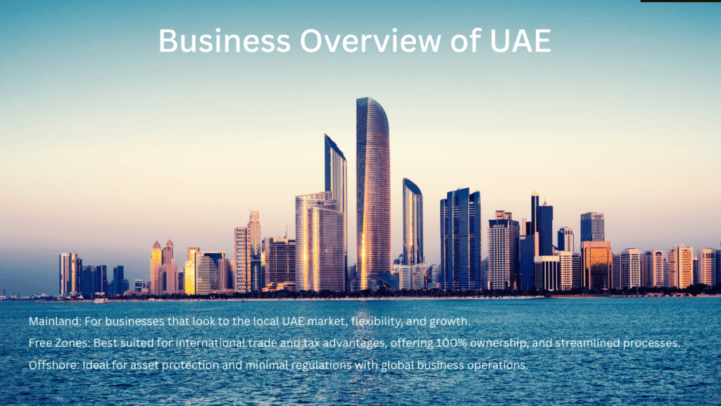 Business Overview of UAE